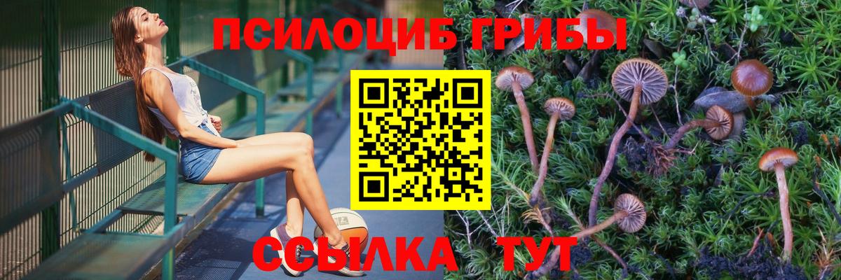 Псилоцибиновые грибы мухоморы Избербаш