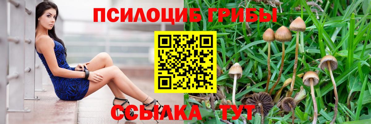 Избербаш  Псилоцибиновые грибы ЛСД  Псилоцибиновые грибы Psilocybine cubensis  Вход с VPN 