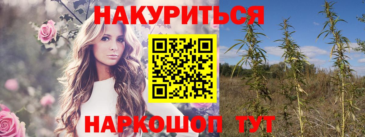 Избербаш  Марихуана конопля  Бошки Шишки White Widow  Вход с VPN  Марихуана планчик  Марихуана OG Kush 